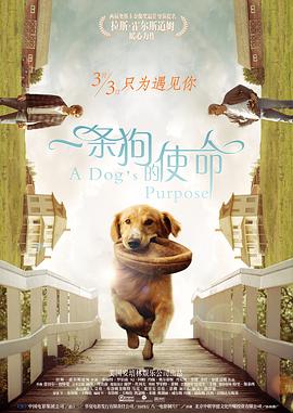 亚洲27p