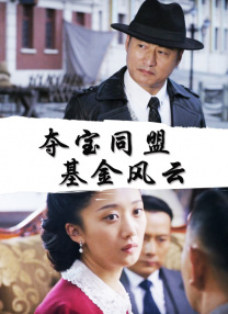 精品国产高清久久久久久小说