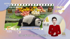 生活的女人